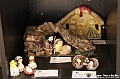 VBS_7178 - Museo permanente di Presepi dal mondo